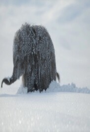 Prehistoric Planet 2022