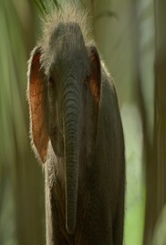 Prehistoric Planet 2022