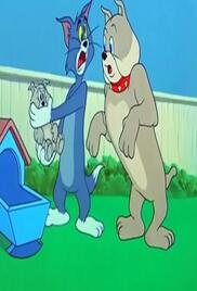 Tom And Jerry