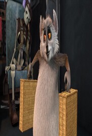 All Hail King Julien