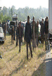 The Walking Dead