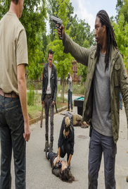 The Walking Dead