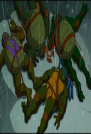 Teenage Mutant Ninja Turtles 2003