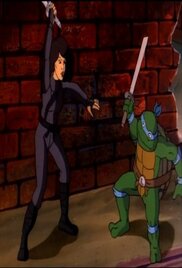 Teenage Mutant Ninja Turtles 1987