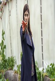 Anne Rices Mayfair Witches