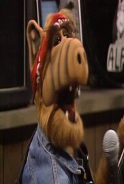 ALF