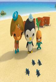 The Octonauts