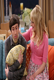 The Big Bang Theory