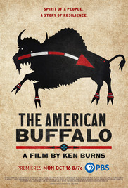 The American Buffalo