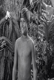 Gilligans Island