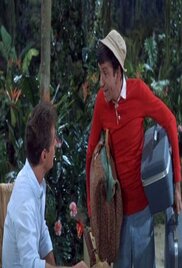 Gilligans Island