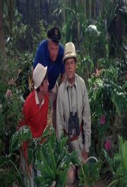 Gilligans Island