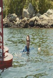 Widows Bay