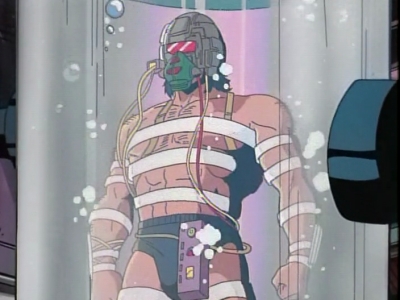 The Ultimate Fighter