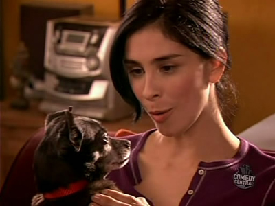 The_Sarah_Silverman_Program