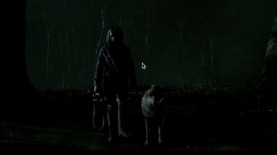 Wolfblood