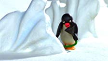 Pingu